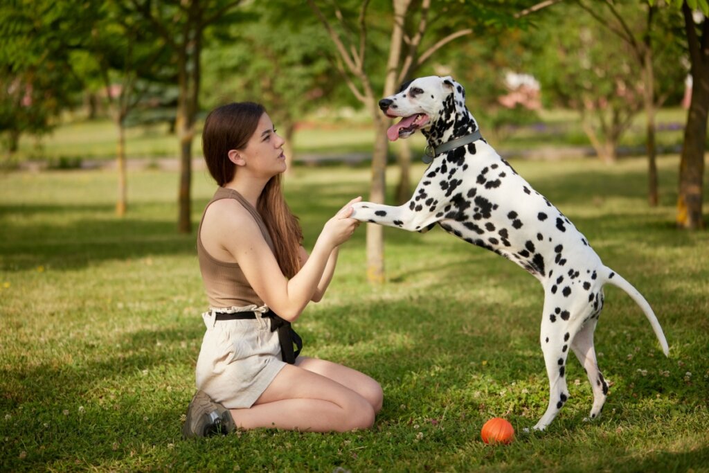 Mulher sentada em parque segurando as patas de cachorro dálmata