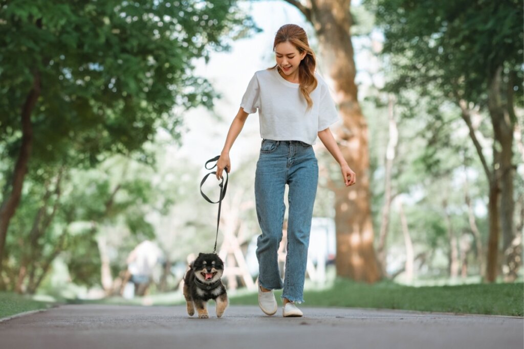 Mulher em um parque passeando com um cachorro