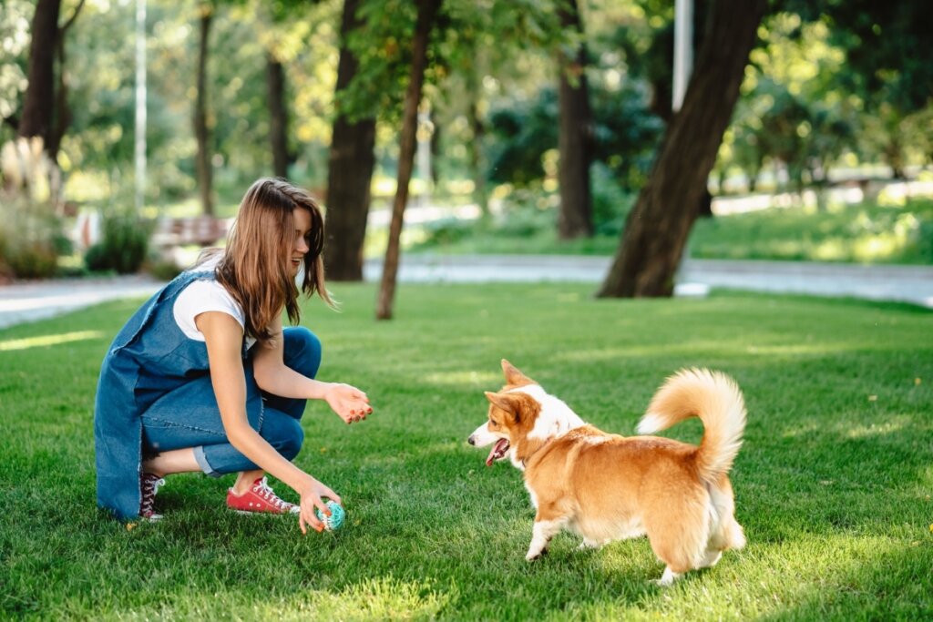 Mulher brincando com um cachorro em um parque