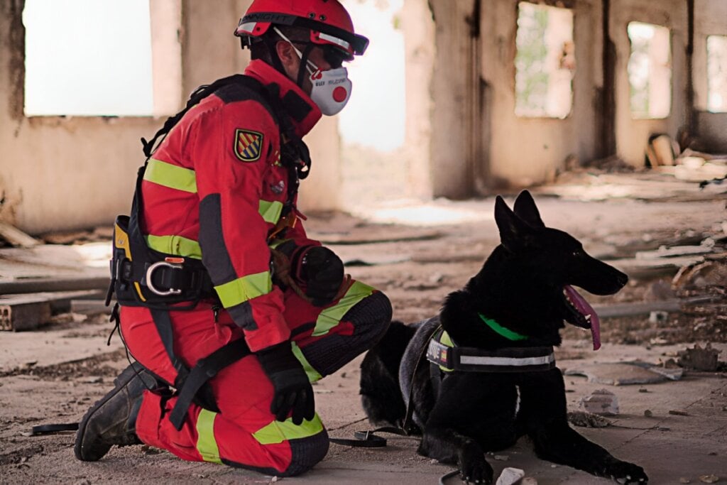 Cachorro preto deitado no chão e bombeiro de roupa vermelha e máscara abaixado do lado