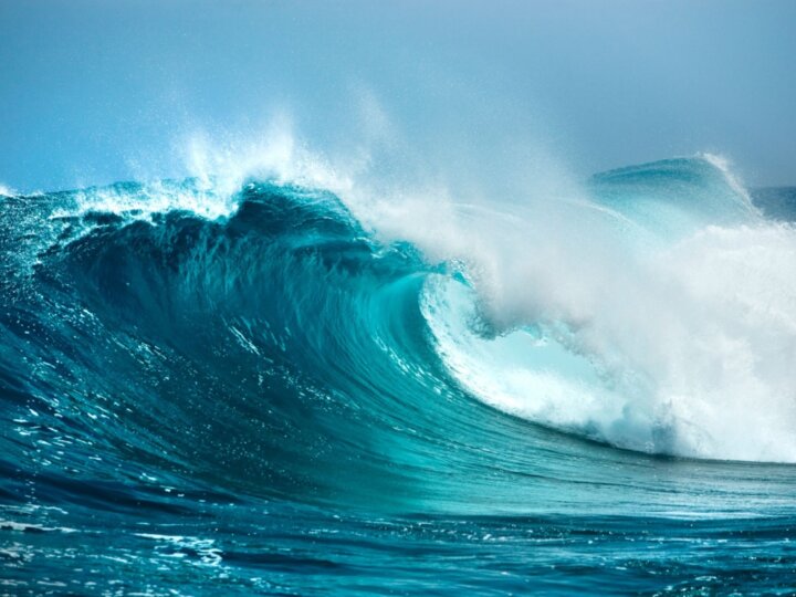 É necessário coragem para enfrentar o mar da vida