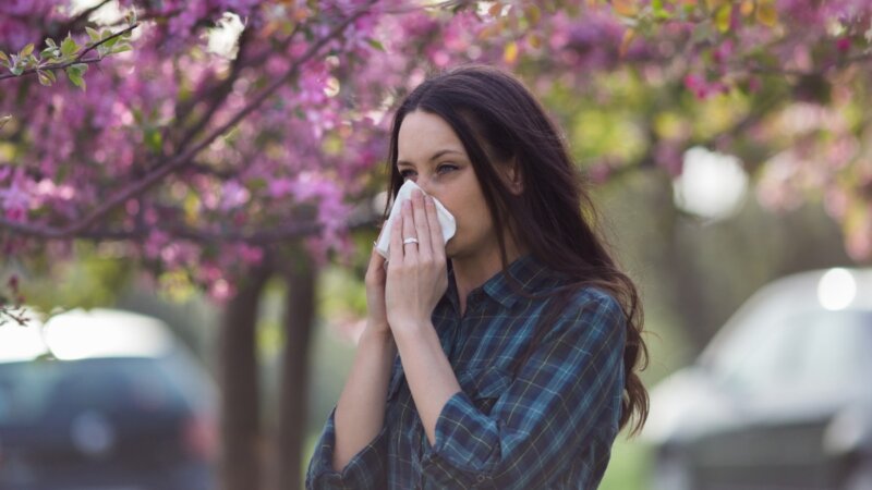 Casos de alergias e doenças respiratórias podem aumentar na primavera