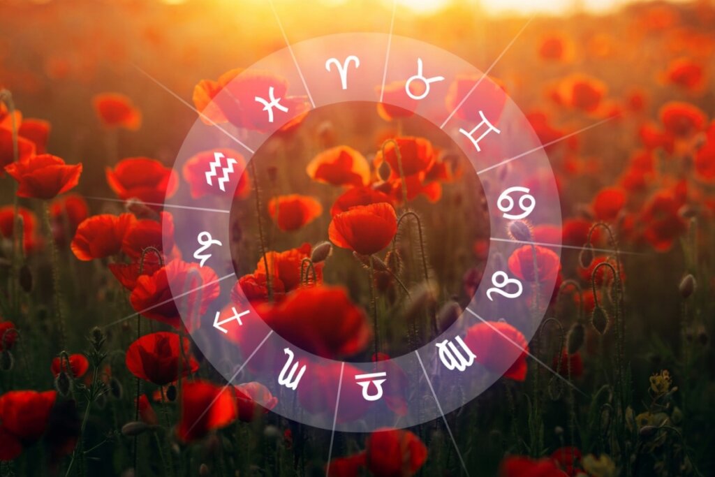 Imagem de flores vermelhas com um pôr do sol e a ilustração de um círculo com os doze signos do zodíaco na frente