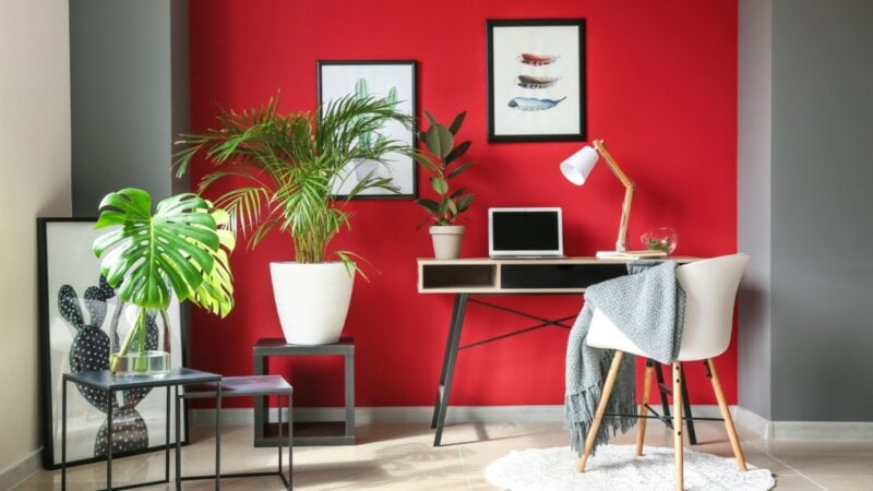 5 dicas de Feng Shui para melhorar a energia da casa na primavera