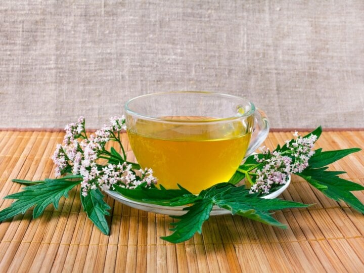 5 benefícios do chá de valeriana para saúde