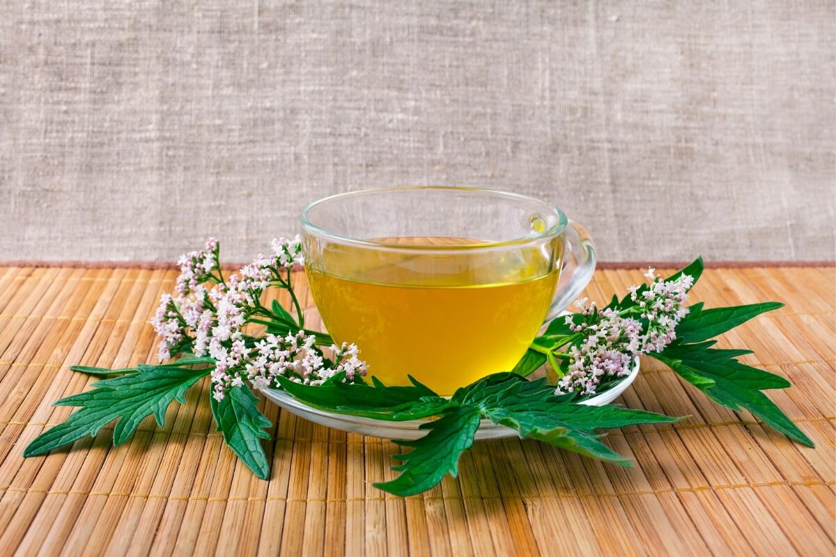 5 benefícios do chá de valeriana para saúde