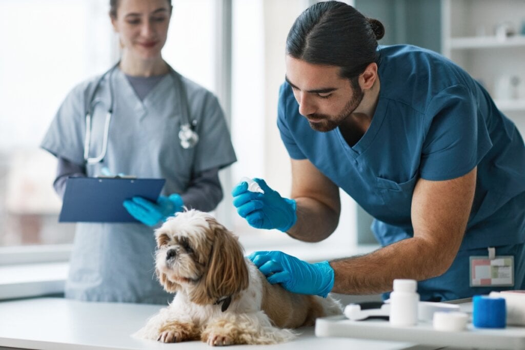 Cachorros de pelagem longa podem apresentar maior predisposição a parasitas como pulgas e carrapatos, demandando cuidados específicos como inspeção constante (Imagem:  SeventyFour | Shutterstock)