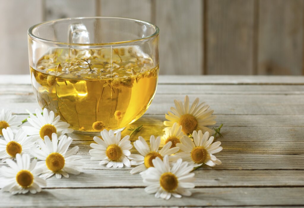 Chá de camomila em xícara de chá e flores ao redor