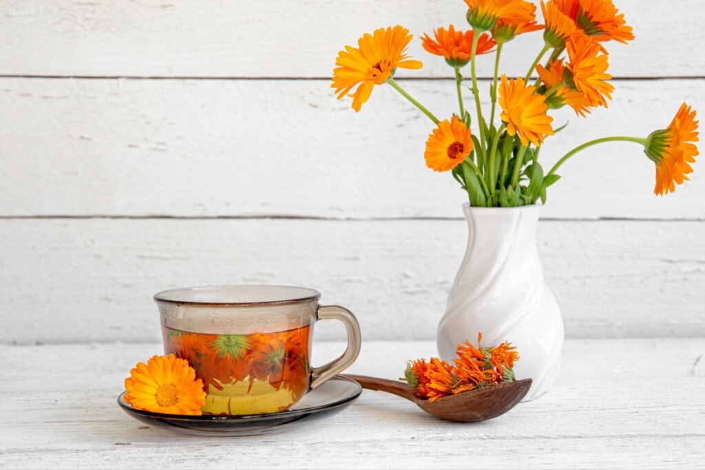 Chá de calêndula servido em uma xícara de vidro ao lado de um vaso com flores de calêndula