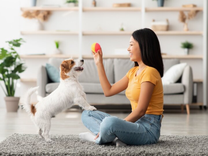 7 benefícios do reforço positivo para o cachorro 