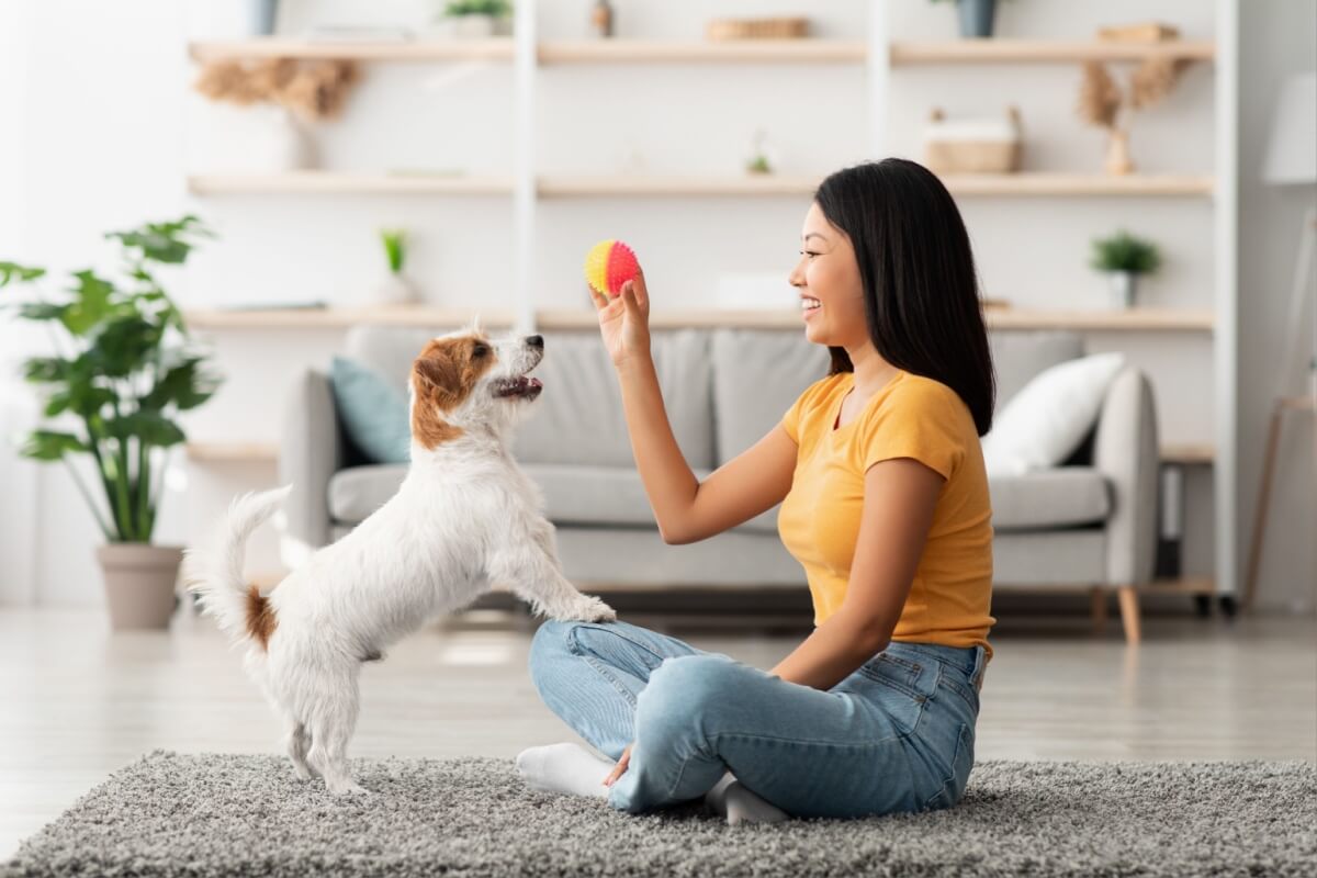 O reforço positivo pode beneficiar o cachorro e o tutor de diferentes maneiras (Imagem: Prostock-studio | Shutterstock)