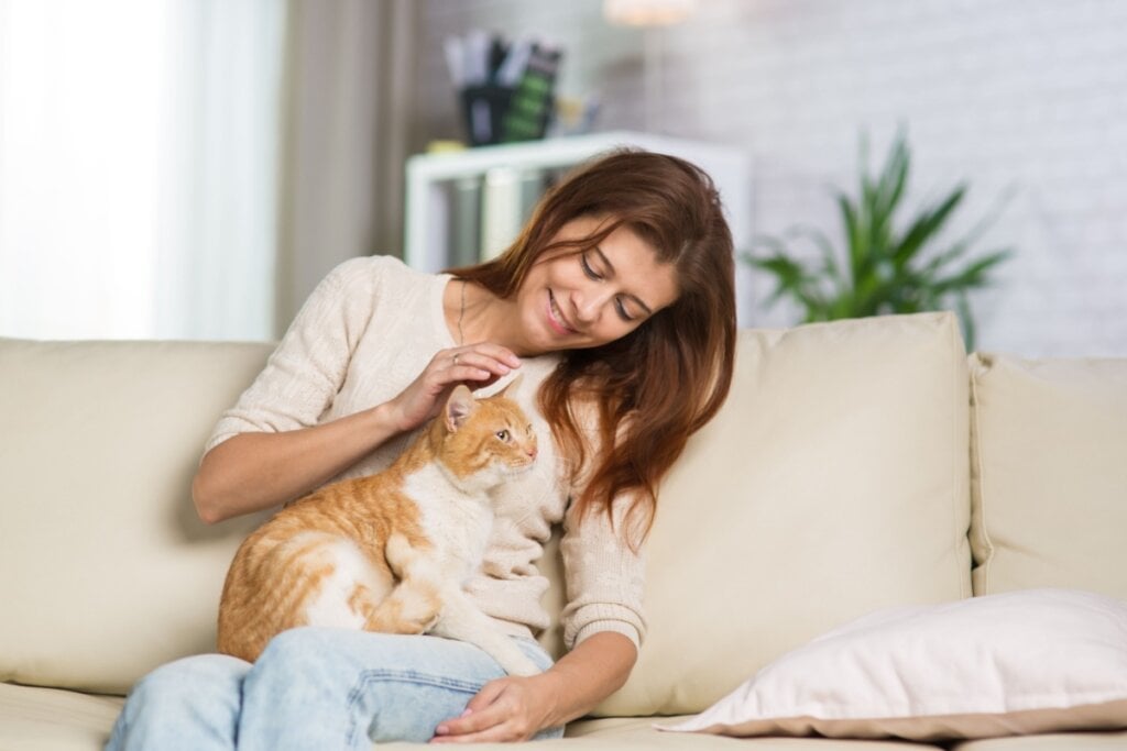 mulher sentada no sofá e com gato laranja e branco no colo