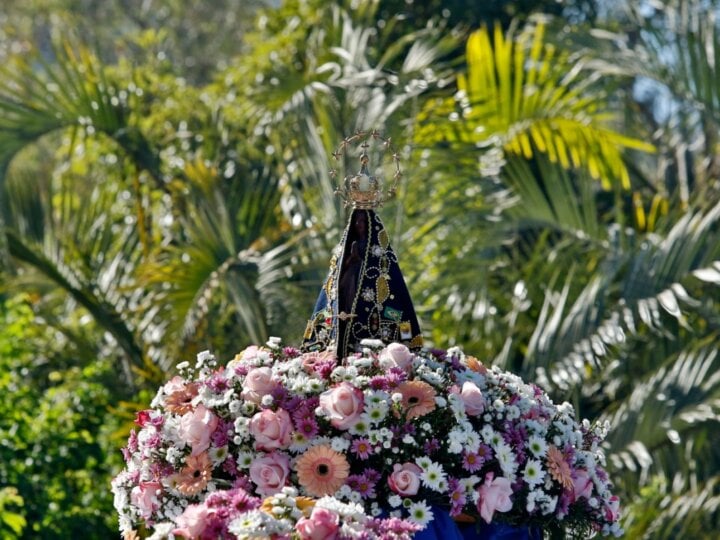 Veja com quais flores presentear Nossa Senhora Aparecida