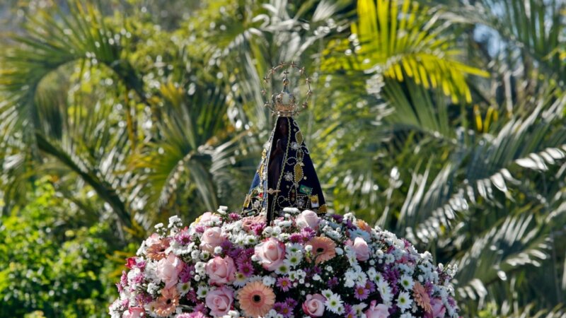 Veja com quais flores presentear Nossa Senhora Aparecida