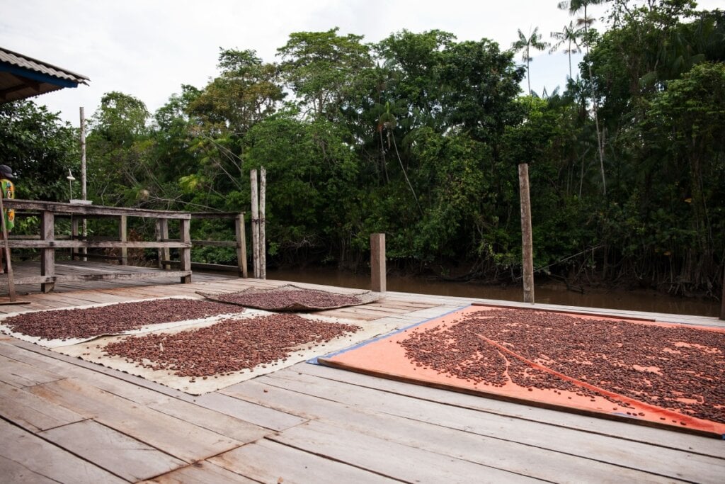 Na Casa do Chocolate do Combu é possível acompanhar o processo de produção de chocolate 100% orgânico (Imagem: Dado Photos | Shutterstock)