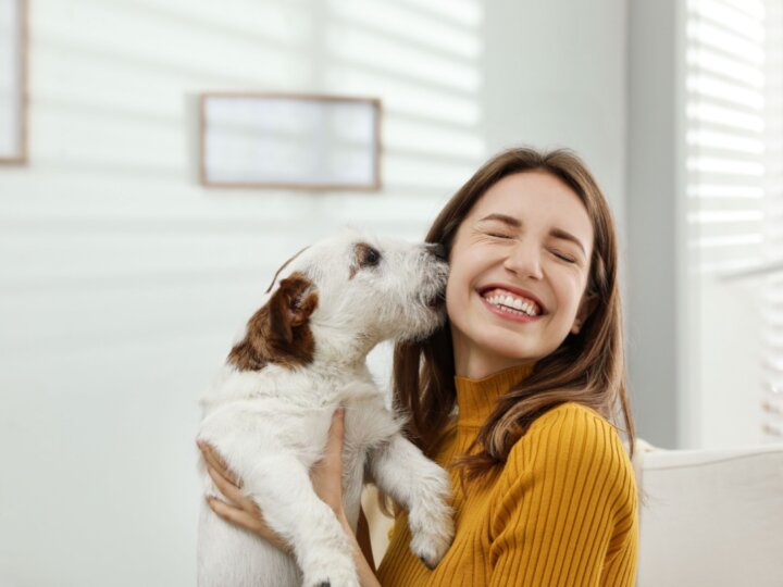 Veja as responsabilidades de quem tem um animal de estimação