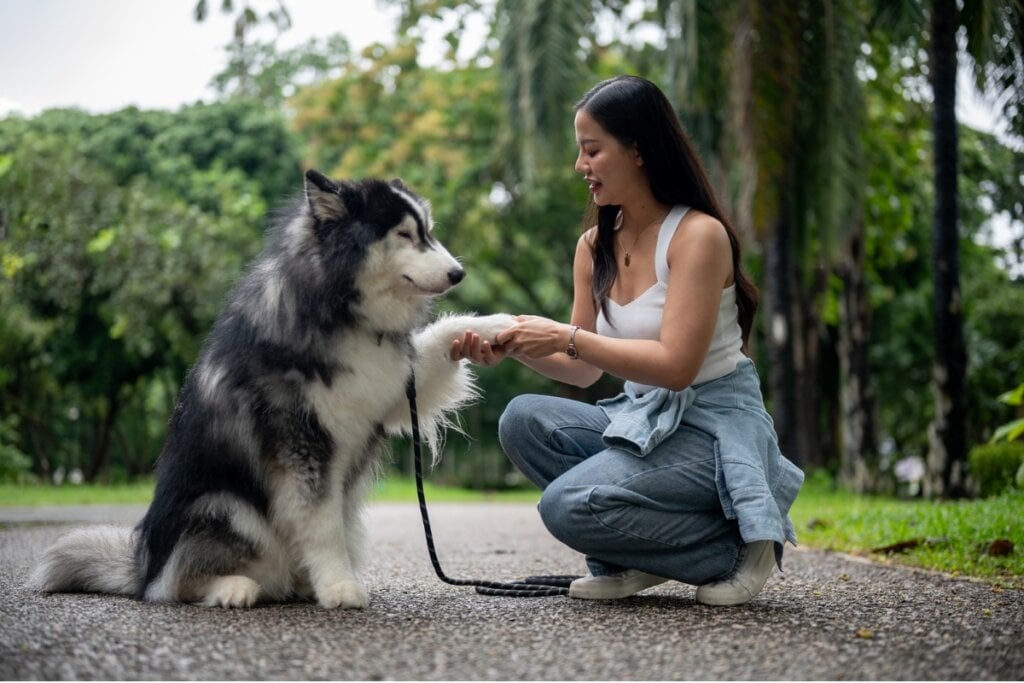 Mulher agachada segurando a pata de um cachorro sentado em um parque