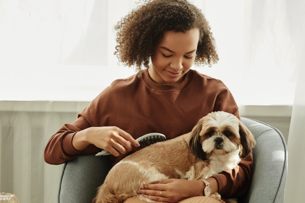 Mulher sentada escovando o pelo de um cachorro da raça shih Tzu