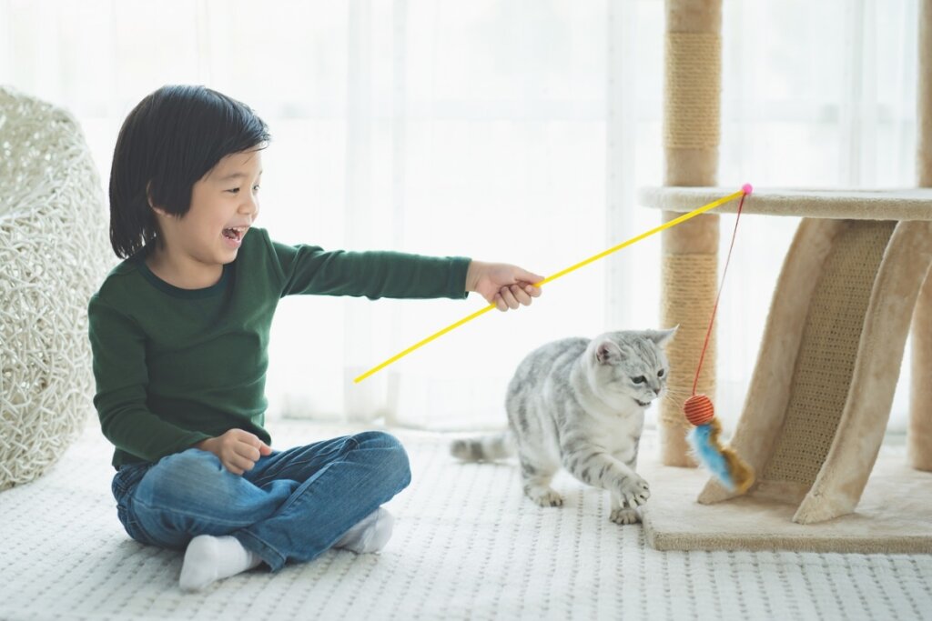 Menino sentado brincando com um gato com uma varinha