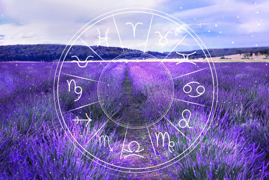 Círculo com os 12 signos do zodíaco em um fundo com um campo de lavanda