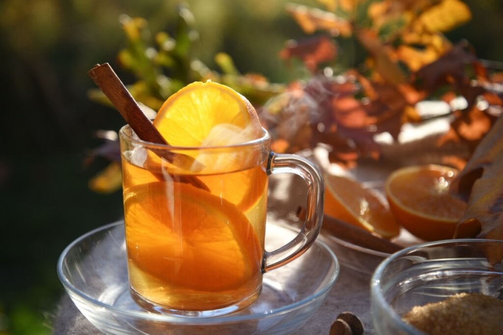 Xícara de chá quente com canela e rodelas de laranja, iluminada pela luz do sol