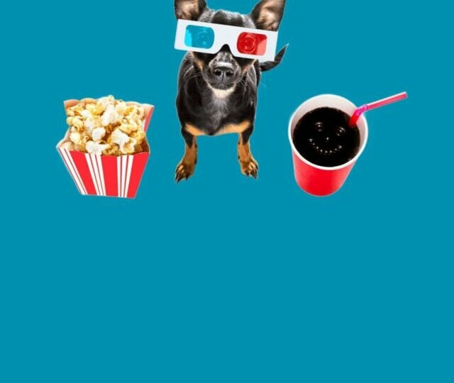 10 nomes para pinscher inspirados em filmes e séries