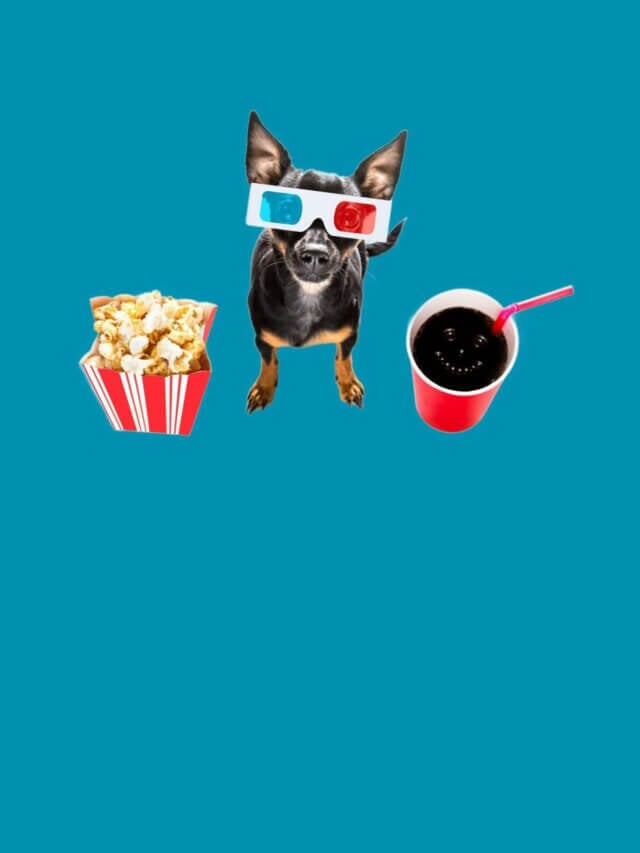 10 nomes para pinscher inspirados em filmes e séries