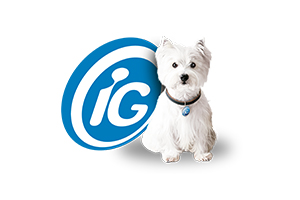 Logo IG