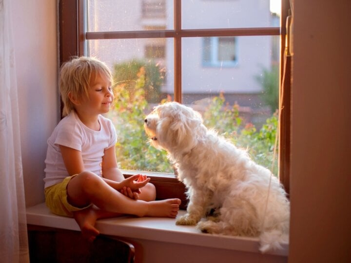 8 dicas para uma boa convivência entre cachorros e crianças