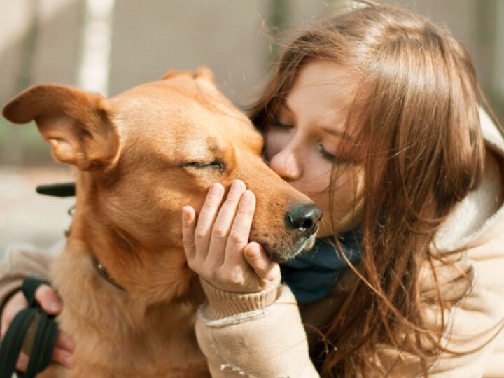 8 dicas para fortalecer o vínculo com o cachorro 