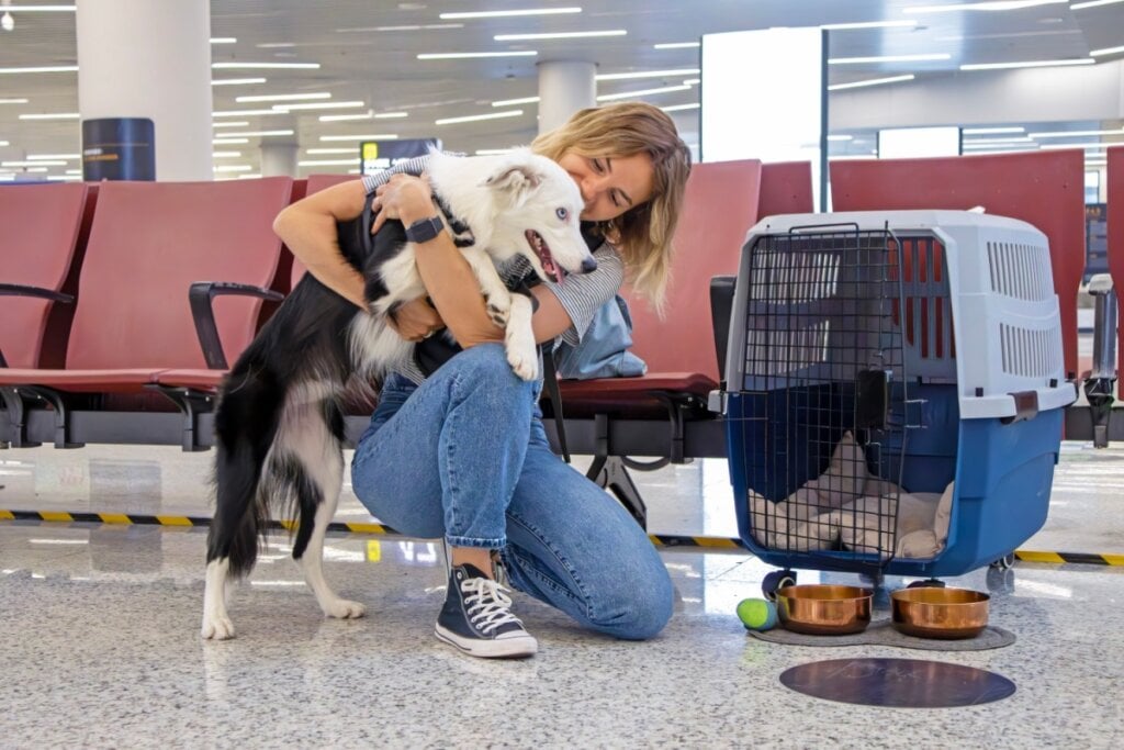 mulher abaixada no chão e abraçando cachorro branco e preto. ela está em sala de aeroporto com caixa de transporte ao lado