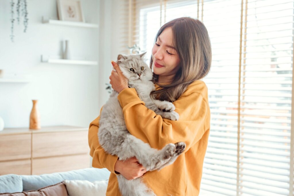 mulher de blusa amarela segurando gato persa cinza no colo