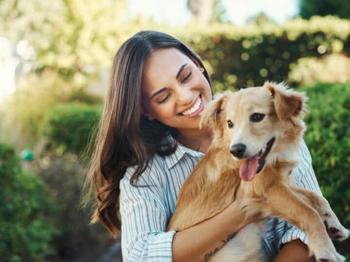 Veja como proteger seu animal dos riscos de envenenamento