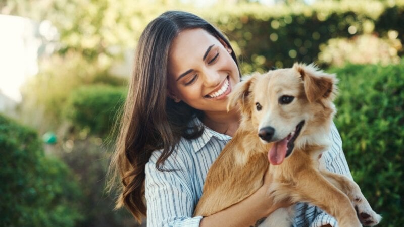 Veja como proteger seu animal dos riscos de envenenamento