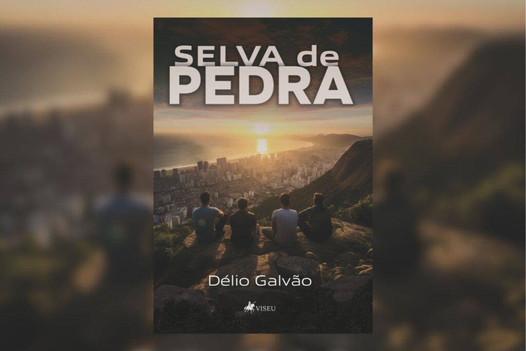 Imagem da cidade do Rio de Janeiro na capa do livro "Selva de Pedra"