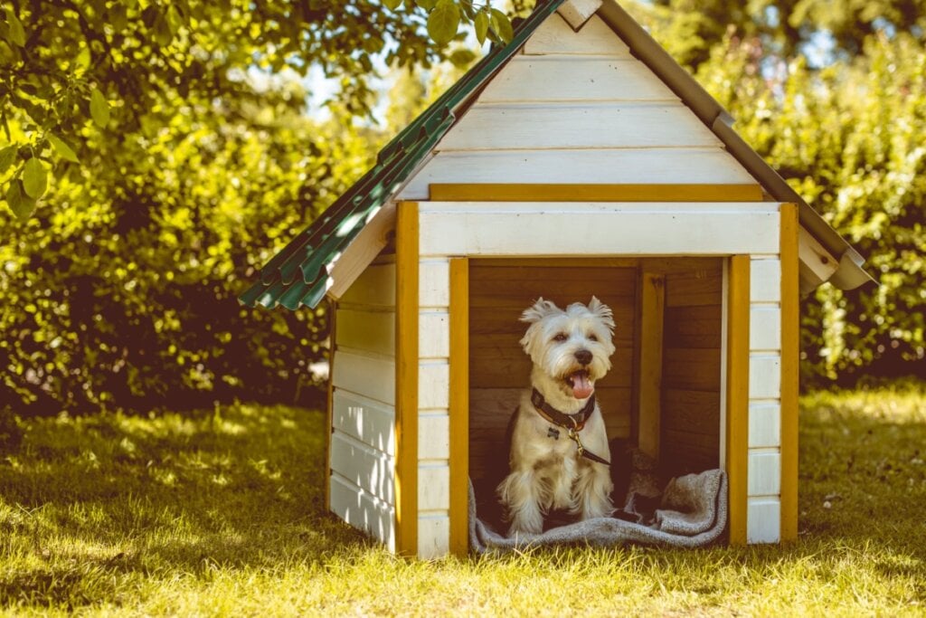 Cachorro dentro de casinha ao ar livre 