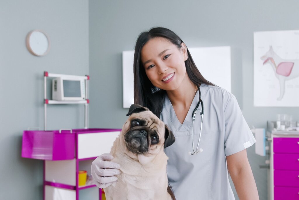 Veterinária sorrindo ao lado de cachorro da raça pug