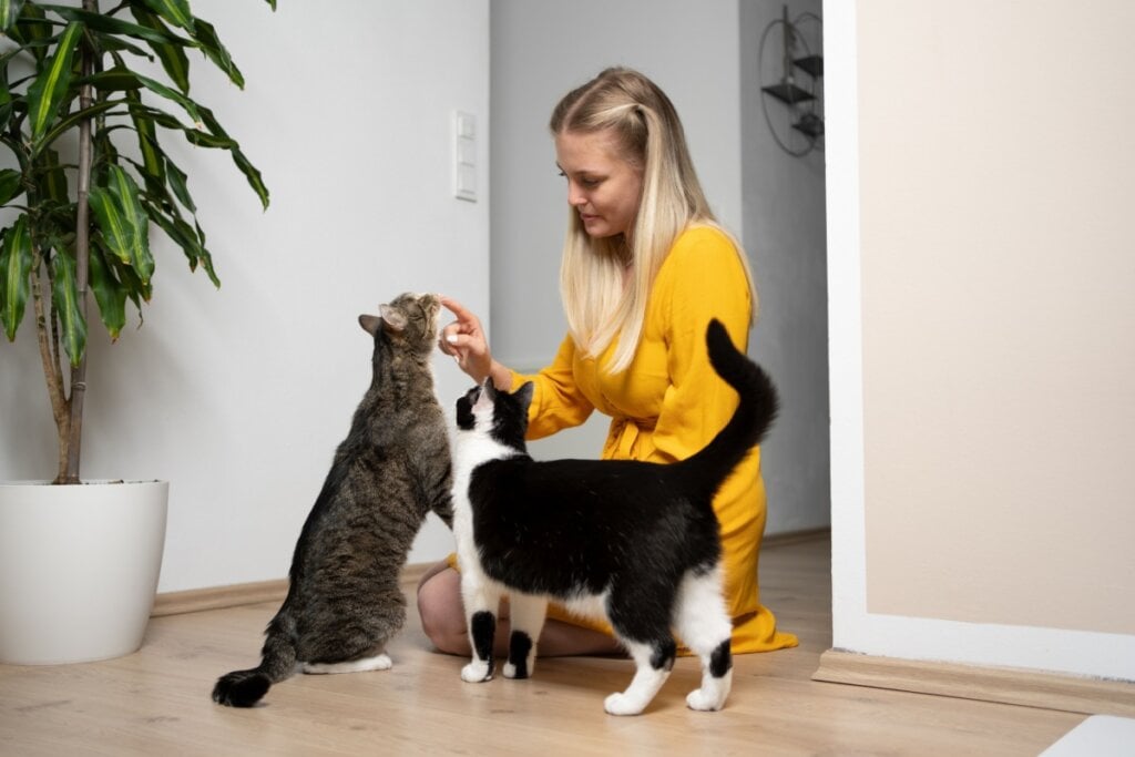 mulher de roupa amarela abaixada no chão com dois gatos